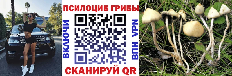 Псилоцибиновые грибы Cubensis  blacksprut зеркало  Сосногорск 