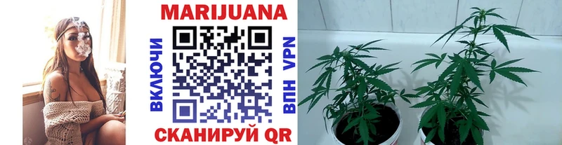 что такое   Сосногорск  Каннабис OG Kush 